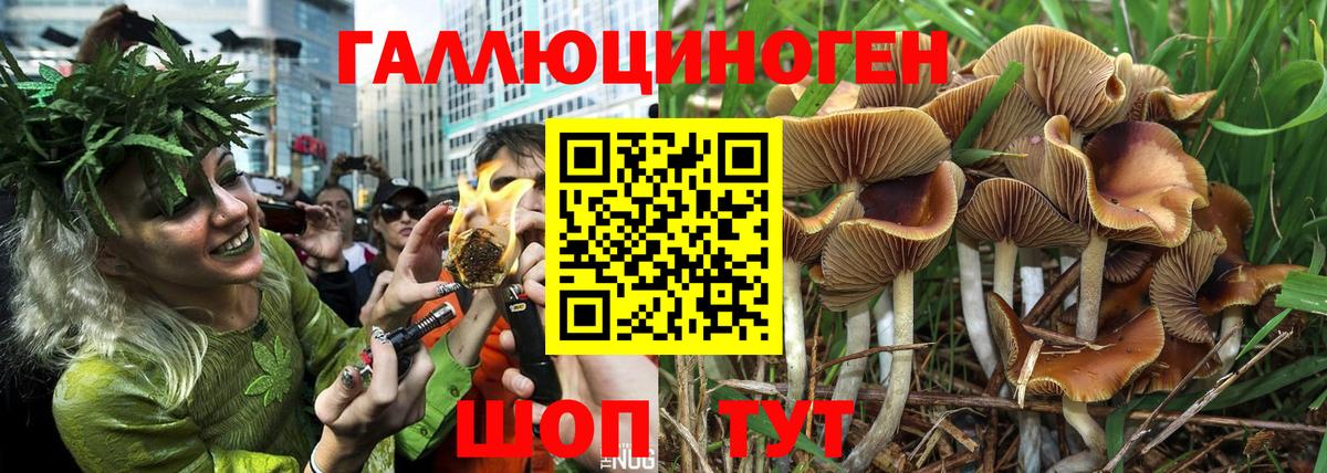 Псилоцибиновые грибы MAGIC MUSHROOMS Сунжа