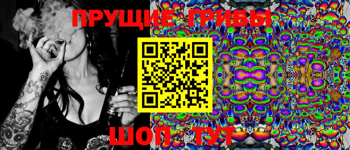 Галлюциногенные грибы GOLDEN TEACHER  Галлюциногенные грибы прущие грибы  Вход с VPN  Сунжа 